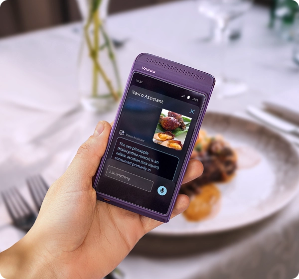 Vasco Translator Q1 displaying Vasco Assistance on the screen — showing a photo of a dish and an AI-generated description of the meal visible in the image.